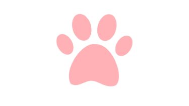 猫の足跡トランジション